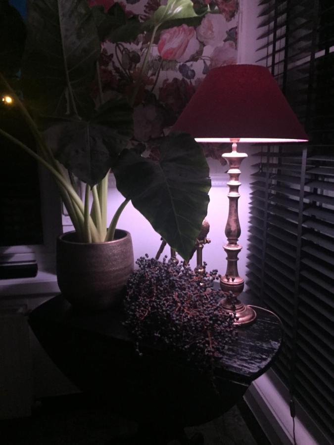 Huyze-Peppins Bed & Breakfast Maldegem Bagian luar foto